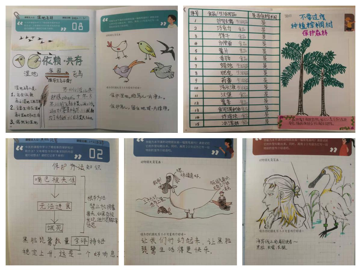 图4 学生少年熊猫客学习手册笔记 .jpg