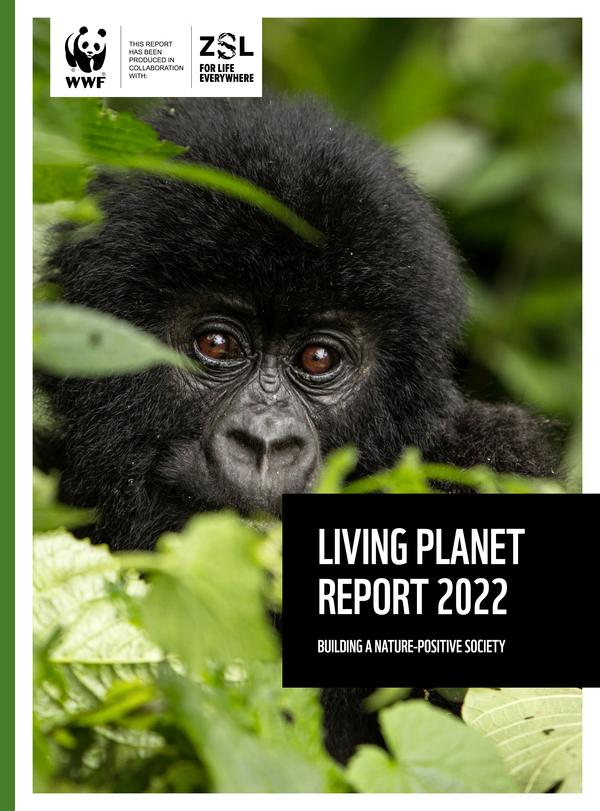 WWF《地球生命力报告2022》：野生动物种群数量在过去几十年内平均下降